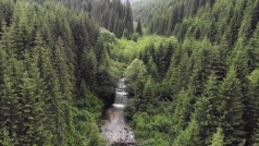 Як "запускають" гірські річки в Карпатах, перекриті ще за Австро-Угорщини -  BBC News Україна